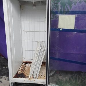 FREEZER VERTICAL FRICON COM DEFEITO - RG: 0419083828