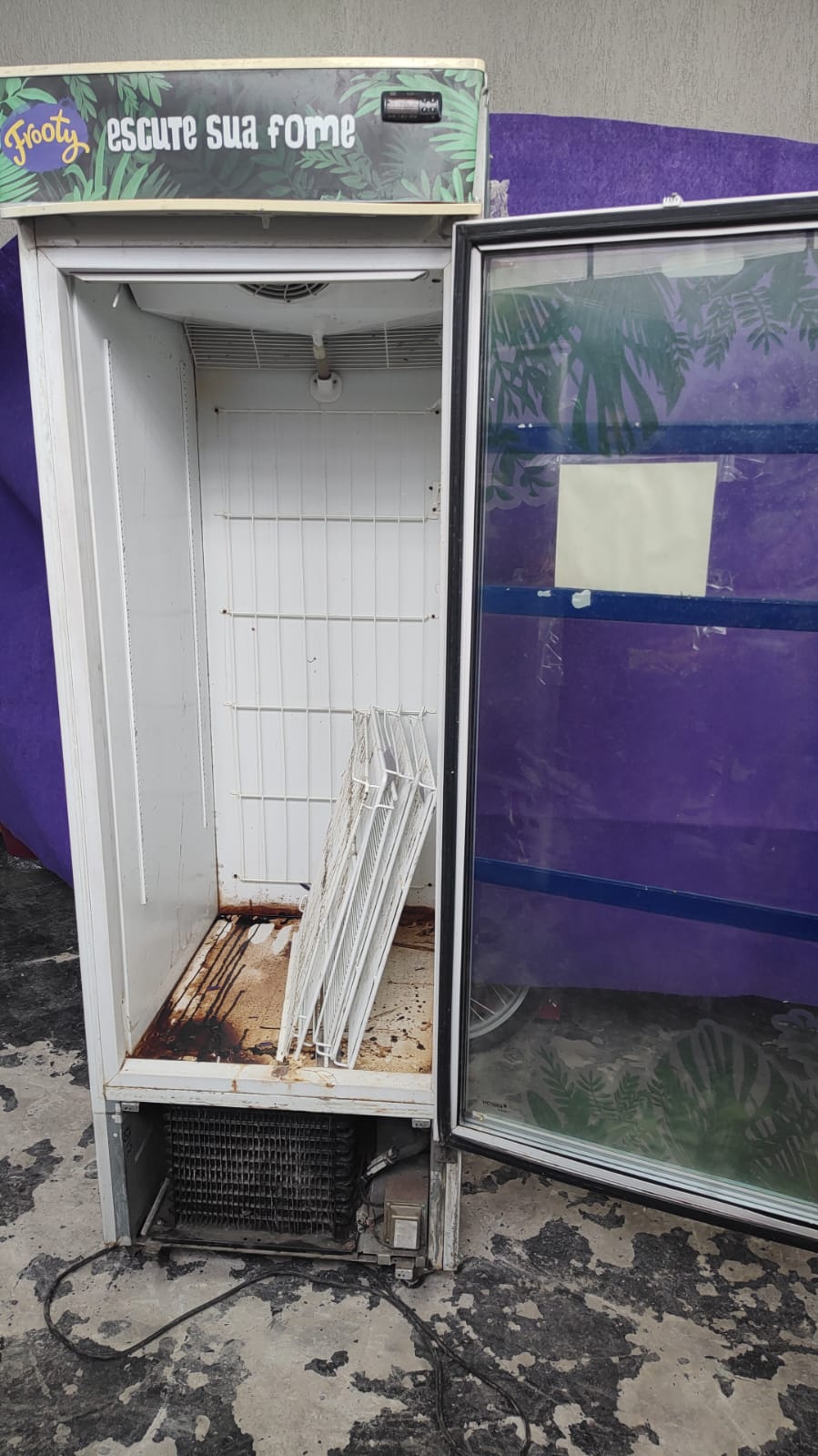 FREEZER VERTICAL FRICON COM DEFEITO - RG: 0419083828