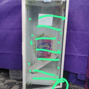 FREEZER VERTICAL FRICON COM DEFEITO - RG: 0419000307