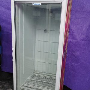 FREEZER VERTICAL FRICON COM DEFEITO - RG: 0419000131