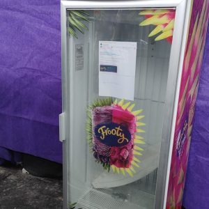 FREEZER VERTICAL METALFRIO COM DEFEITO - RG: 2170396325041-1